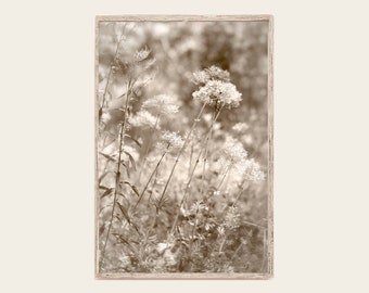 Photographie d'herbes et de fleurs sauvages sépia, impression d'art mural rustique