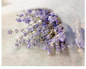 Lavender Floral Print: Still Life Photography
