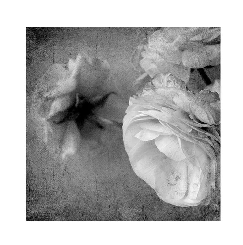 May include: Monochrome floral print showing close-up images of flowers. The print has a textured, vintage appearance. The flowers have delicate petals and are in various stages of bloom, creating a romantic and artistic composition.