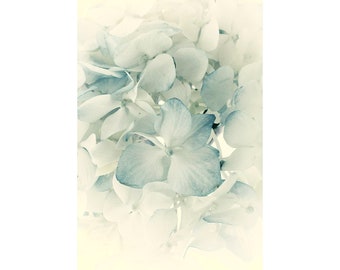 Pale Blue Hydrangea Photograph, Ethereal Fine Art Print,  Flower Photography, Abstract Print