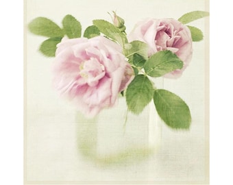 Rose Bouquet Still Life Flower Photograph