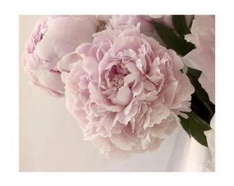 Pink Peony Floral Art Print, Blush Pastel Flower Photograph