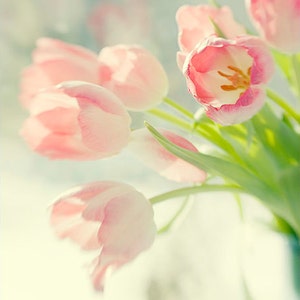 May include: A bouquet of pink tulips with green stems. The tulips are in focus, while the background is blurred.