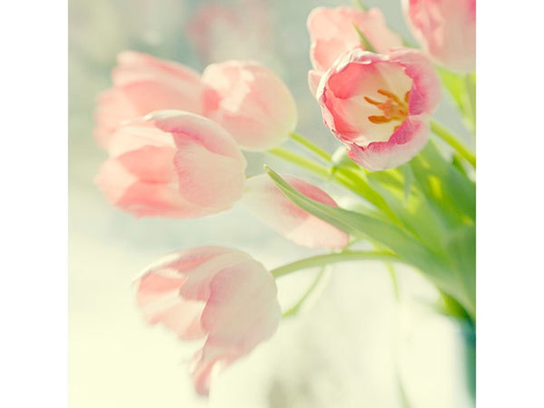 May include: A bouquet of pink tulips with green stems. The tulips are in focus, while the background is blurred.