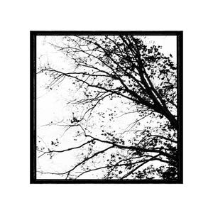 Printable Black and White Tree Photograph, Minimalist Art