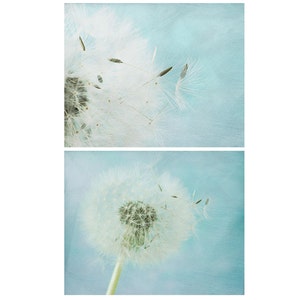 Dandelion Photograph Wall Art