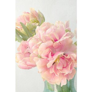 Pink Tulip Art Print, Still Life Photography, Shabby Chic Wall Art, Flower Photography, Tulip Print image 3