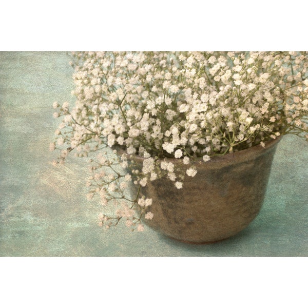 Modern Farmhouse Wall Art, Baby's Breath Photograph, Flower Still Life,  Rustic, Shabby Chic Decor