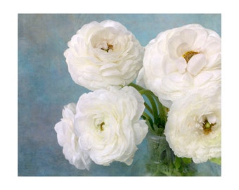 White Flower Still Life Photograph,  Ranunculus Print,  Floral Wall Art, Fine Art Photography