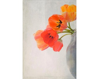 Fotografía de tulipán naranja, estampado de arte floral, naturaleza muerta de flores, decoración de pared campestre francesa