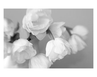 Black and White Tulip Print, Floral Wall Decor, Flower Photograph