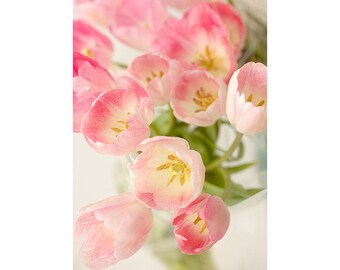 Pink Tulip Art Print, Shabby Chic Decor,  Floral Wall Art, Tulip Photo, Fine Art Photograph