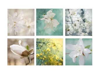 White Magnolia Print Set of 6, Magnolia Art, Flower Photographs,  Bedroom Decor