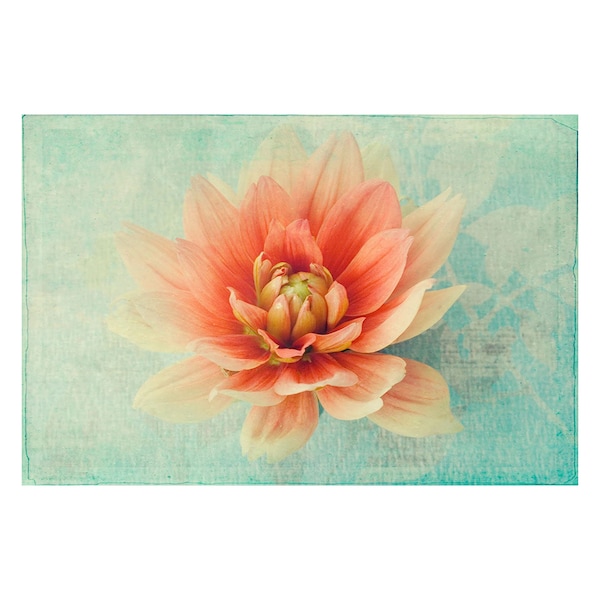 Dahlia Photograph, Coral on Mint,  French Country Home, Flower Photography, Floral Art Wall Decor