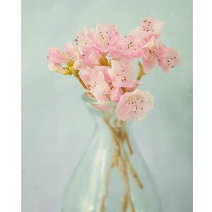 Azalea Art Print, Still Life Photograph image 1