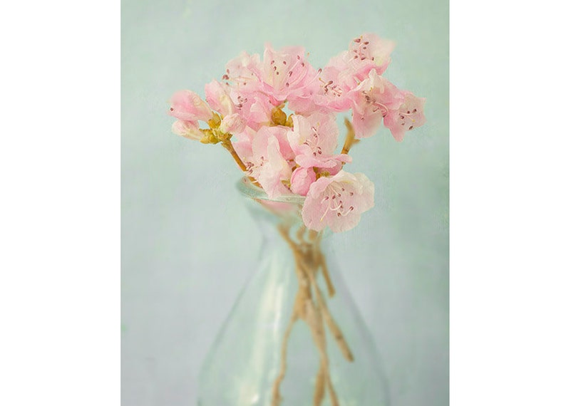 Azalea Art Print, Still Life Photograph image 1