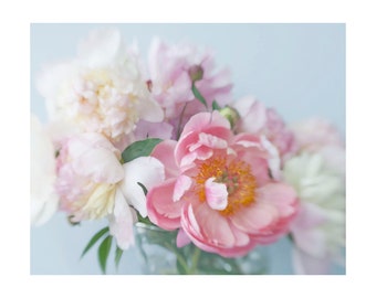 Coral Peony Flower Photograph, Peony Art Wall Decor, Pink Still Life Photography