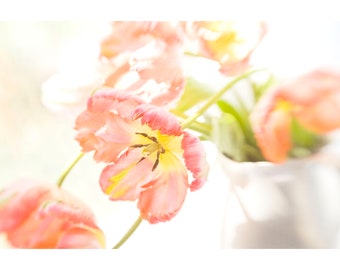 Photographie de tulipe orange, impression d'art floral