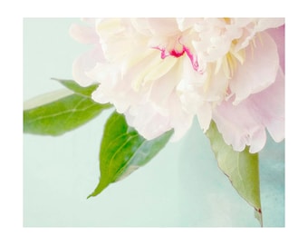 Peony Photograph, Peony Floral Art Print, Cottagecore Wall Art