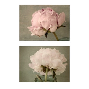 Peony Photographs Print Set of 2, Floral Art Prints, French Country Art image 4