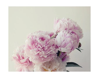 Ethereal Art, Peony Wall Art,  Peony Photo, Pink Floral Home Decor, Flower Photography, Cottage  Decor