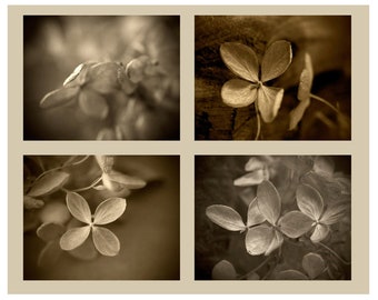 Hydrangea Print Set of 4, Modern Farmhouse Art, Rustic Decor, Sepia Photography,  Flower Photo Set