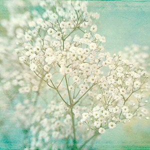 Baby's Breath Flower Print, Flower Photograph, White Turquoise Wall Art Bild 3