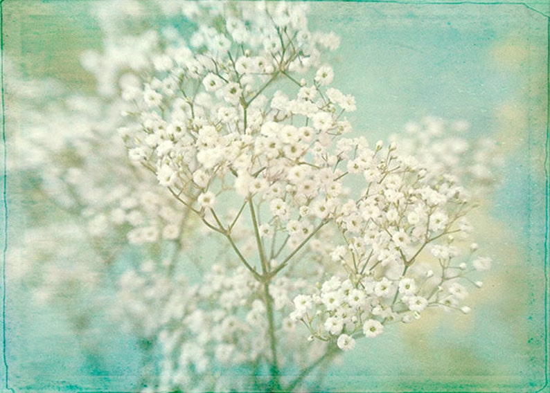 Baby's Breath Flower Print, Flower Photograph, White Turquoise Wall Art Bild 3