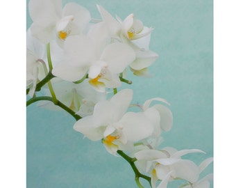 Orchid Art Print, Flower Photography, White Mint Decor, Nursery Art, Bedroom Wall Art