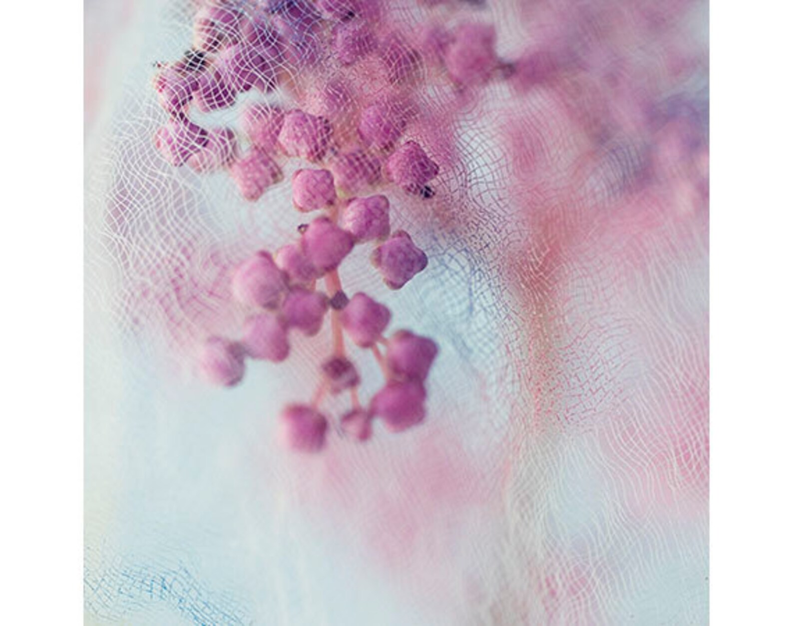 Flower Art Print Set of 4 Flower Photography Pink Mint Wall Etsy