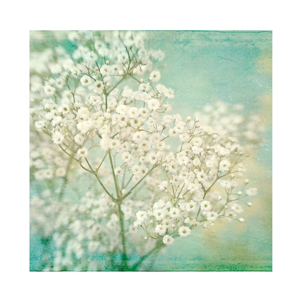 Boho Floral Print: Baby's Breath Flower Photograph, White Mint