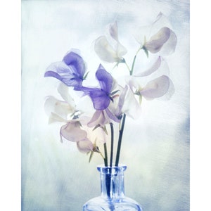 Ethereal Sweet Pea Photograph, Sweetpea Boho Flower Art Print image 2