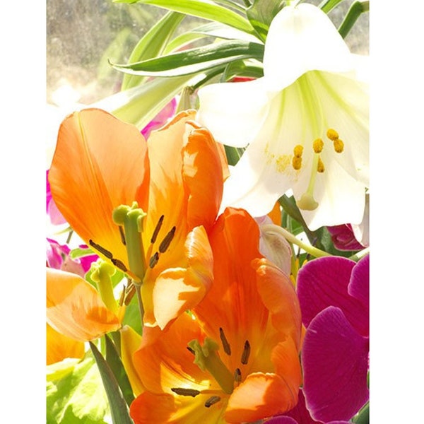 Tulip Lily Photo Card, Easter Card, Blank Flower Art Card