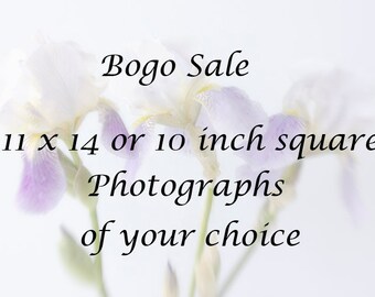 11 x 14 or 10 inch square Photograph of Your Choice, Buy One, Half Price for the Rest