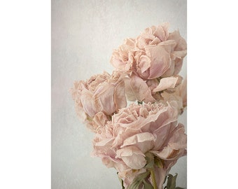 Pink Roses Photography, Dried Flower Print, French Country Decor