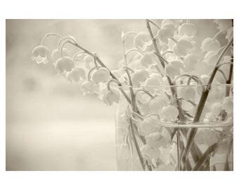 Original Sepia Photography: Lily of the Valley Floral Print