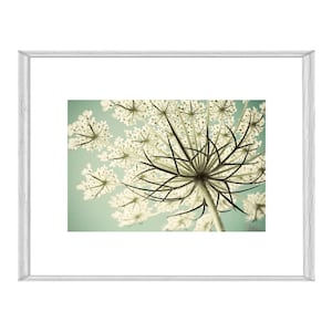 Printable Wildflower Photograph, Digital Queen Anne&#39;s Lace Floral Print, My Original Photograph