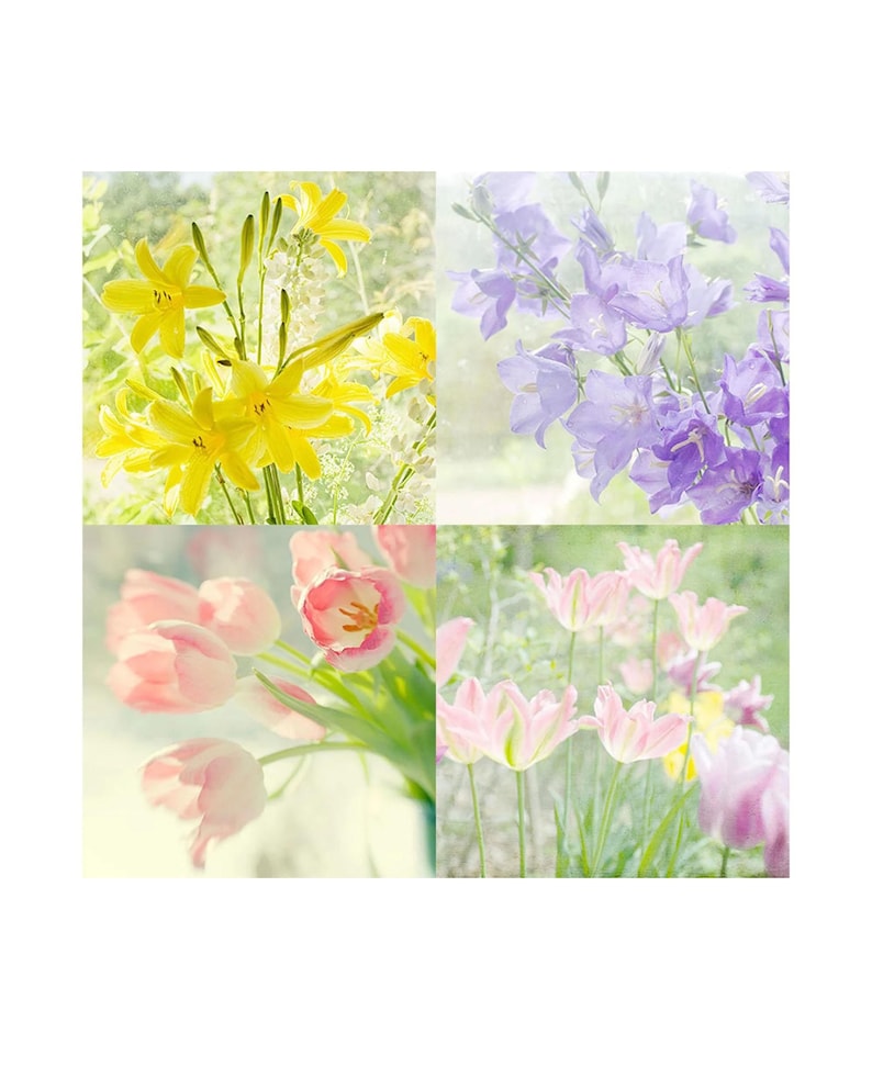 Four Flower Photographs, Ethereal Art, Tulip, Lily Prints image 1