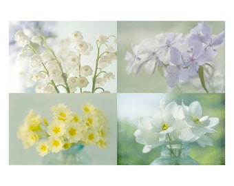 Flower Print Set of 4,  Shabby Chic Decor, Flower Photographs