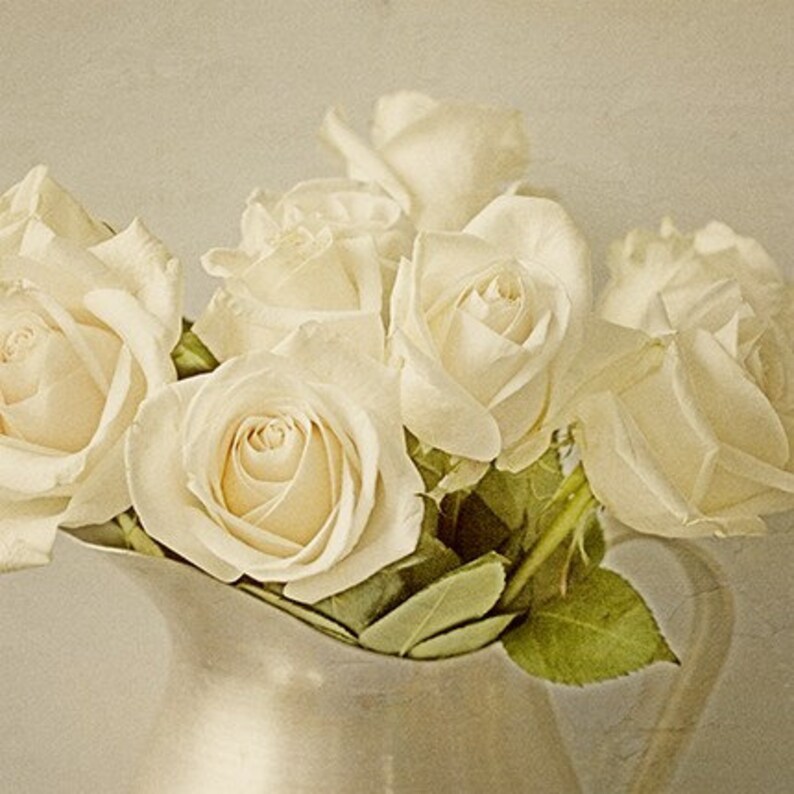 White Rose Print Set of 4 Country Chic Decor French Country Wall Decor Rose Photographs