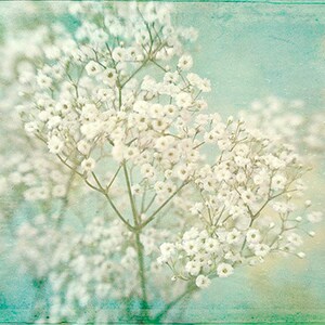 Baby's Breath Flower Print, Flower Photograph, White Turquoise Wall Art Bild 2