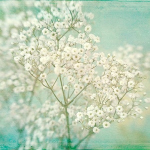 Baby's Breath Flower Print, Flower Photograph, White Turquoise Wall Art Bild 4