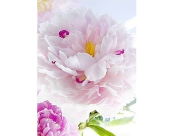 Peony Flower Photograph, Lush Floral Wall Art