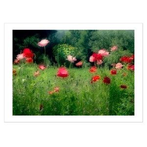 Red Poppy Photo Card,  Blank Card with Envelope