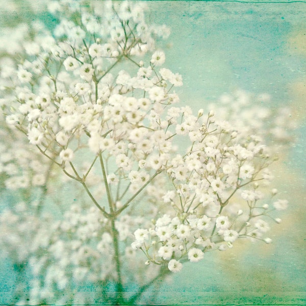 Baby's Breath Print, Flower Photography,  Hygge Decor, White Mint Bedroom Wall Art, Shabby Chic Wall Decor