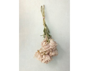 Dried Flower Art, Peony Wall Art, Peony Print, Flower Photography,  Boho Art, Cottage Decor