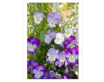 Purple Pansy Greeting Card, Flower Note Card