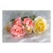 see more listings in the Floral éthéré section