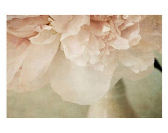Pink Peony Photograph,  Boho Floral Wall Art