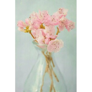 Azalea Art Print, Still Life Photograph image 3